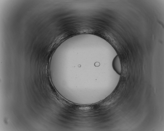 X0000097500357200802220847