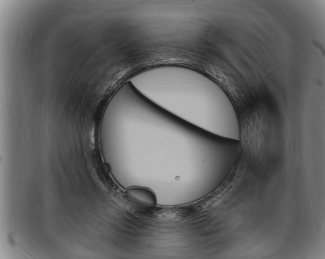 X0000097500358200802220847