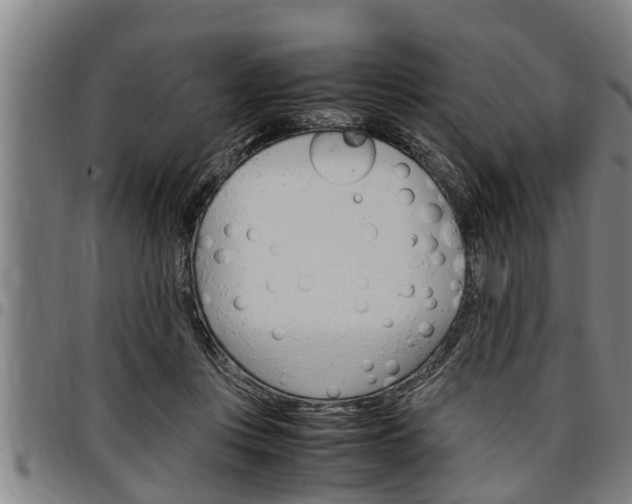 X0000097500359200802220847
