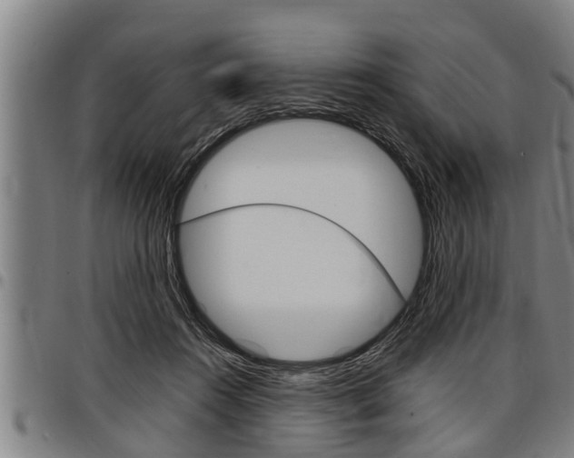 X0000097500360200802220847