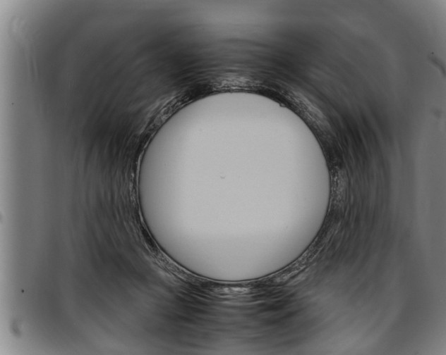 X0000097500361200802220847