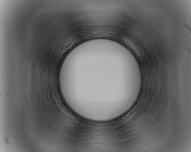 X0000097500362200802220847
