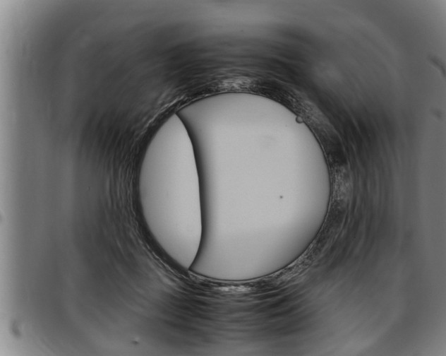 X0000097500363200802220847