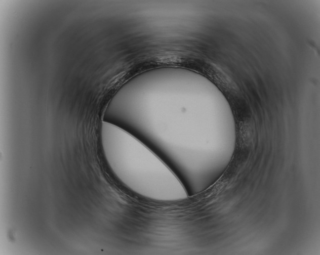 X0000097500364200802220847