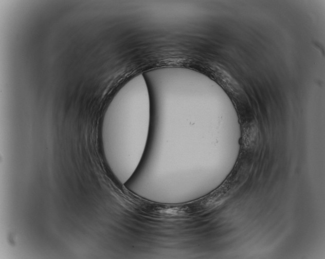X0000097500365200802220847