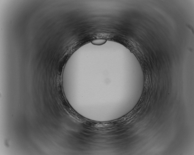 X0000097500367200802220847