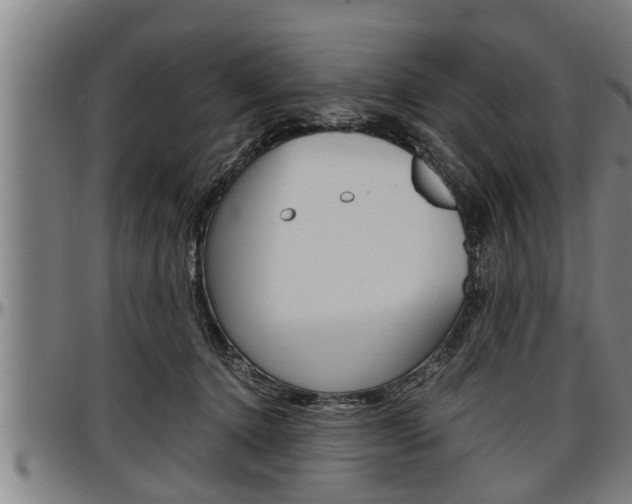 X0000097500368200802220847