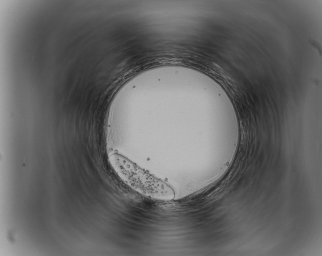 X0000097500370200802220847