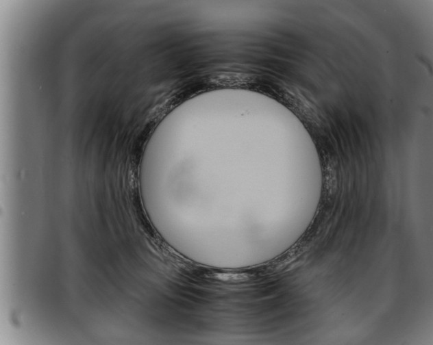 X0000097500371200802220847