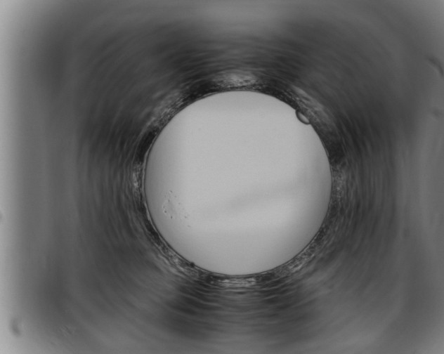 X0000097500373200802220847
