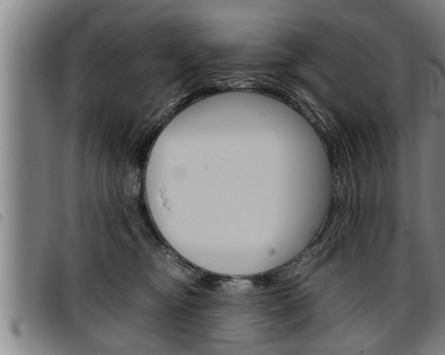 X0000097500374200802220847