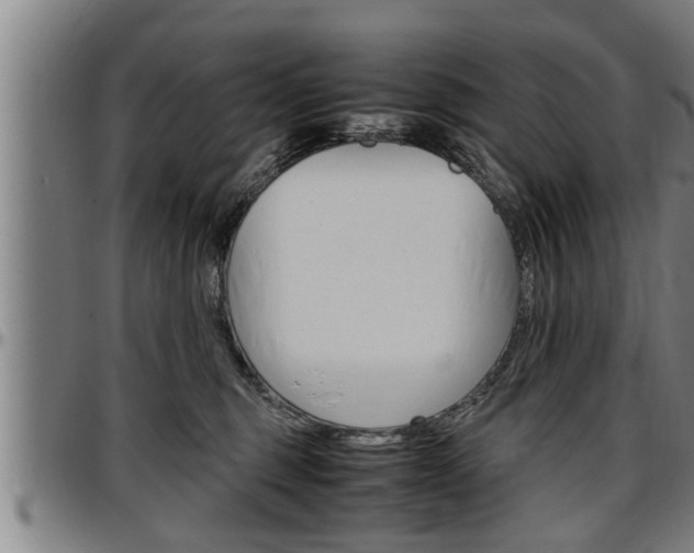 X0000097500375200802220847