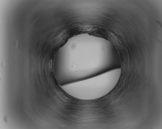 X0000097500376200802220847