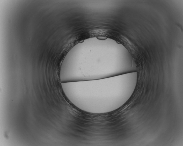X0000097500377200802220847