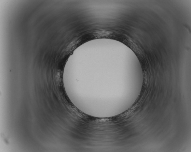 X0000097500378200802220847