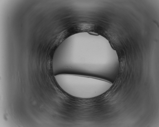 X0000097500379200802220847