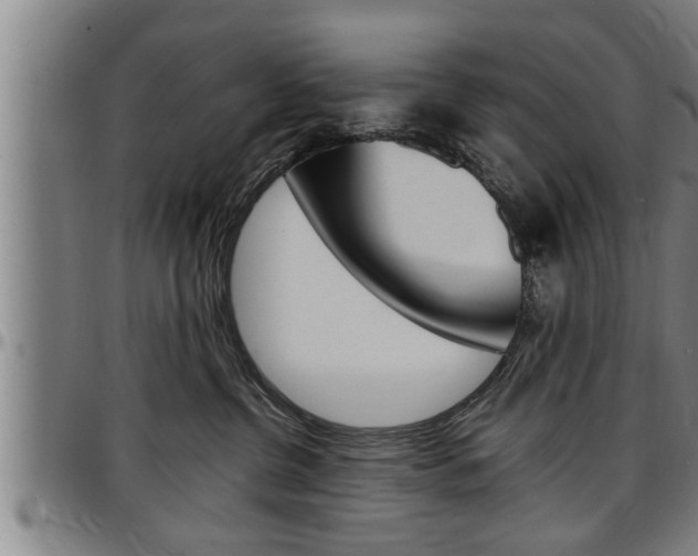 X0000097500380200802220847
