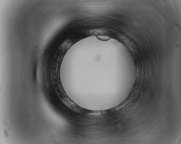 X0000097500381200802220848