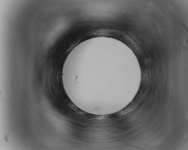 X0000097500382200802220848