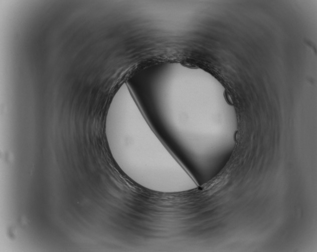 X0000097500384200802220848