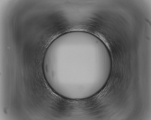 X0000097500385200802220847