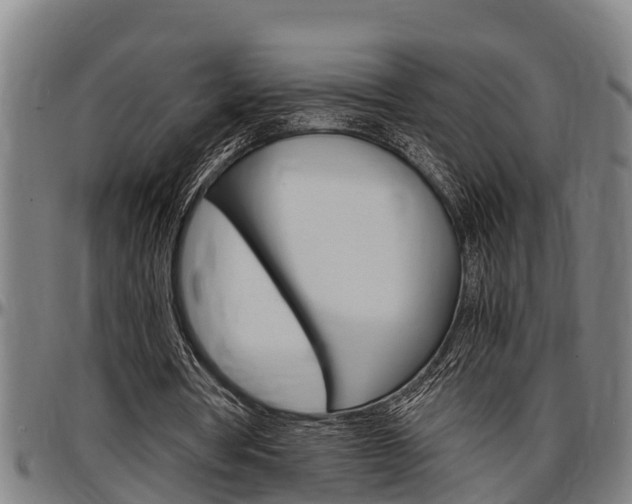 X0000097500386200802220847
