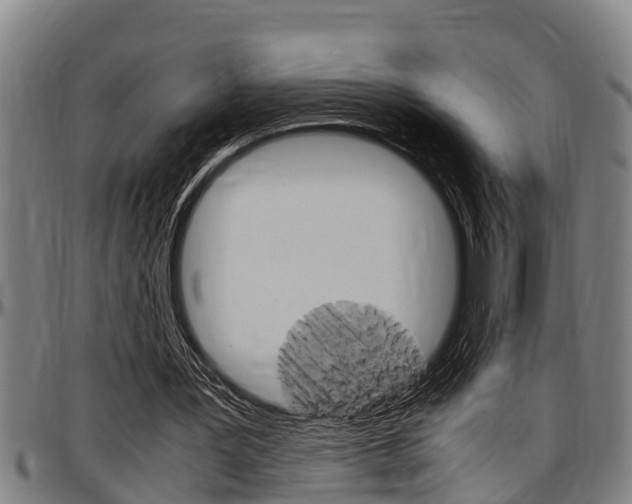 X0000097500387200802220847