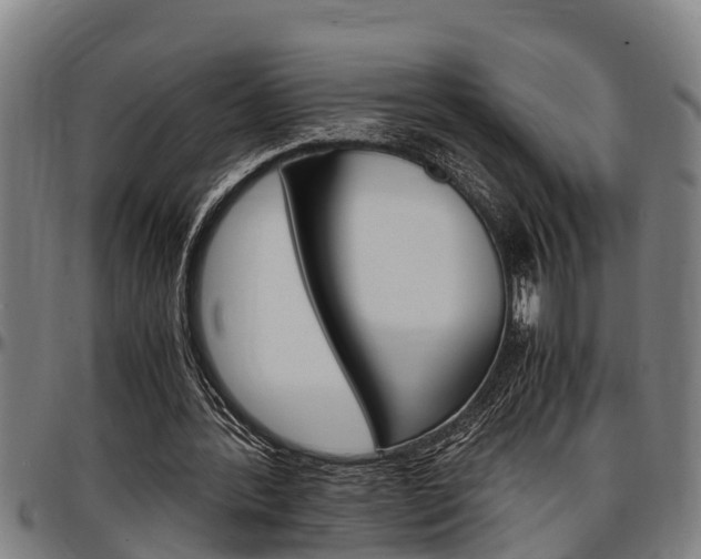 X0000097500388200802220847