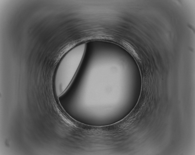 X0000097500389200802220847