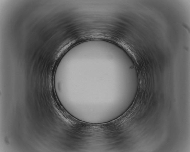 X0000097500390200802220847