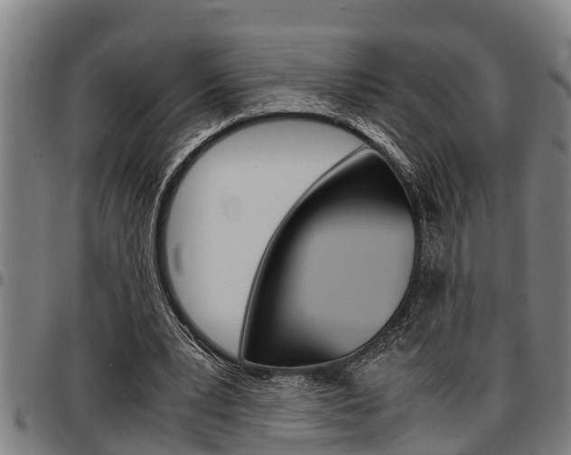 X0000097500391200802220847
