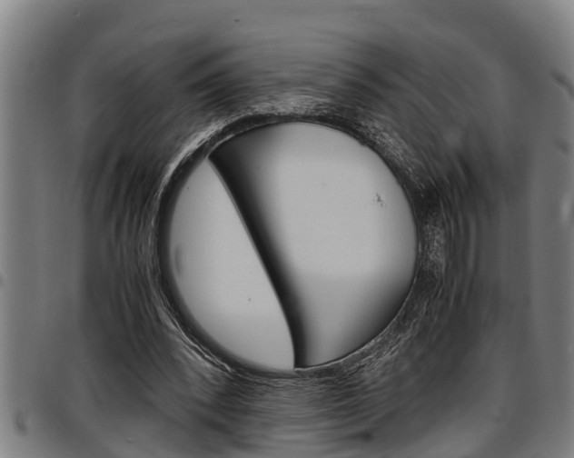 X0000097500392200802220847