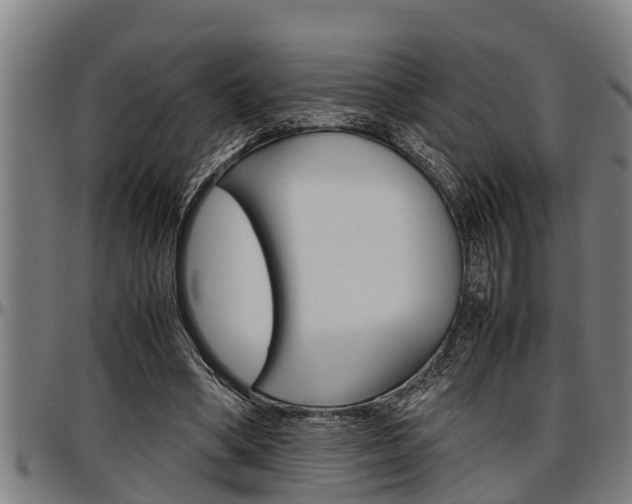 X0000097500394200802220847