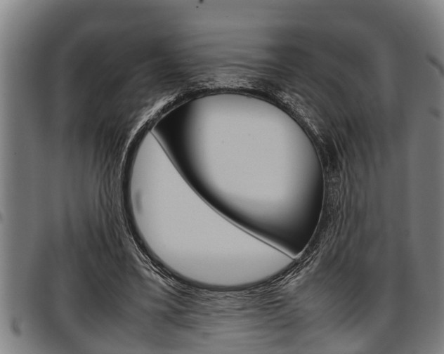 X0000097500395200802220847