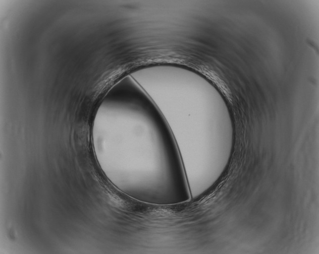 X0000097500397200802220847