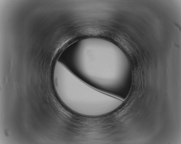 X0000097500399200802220847