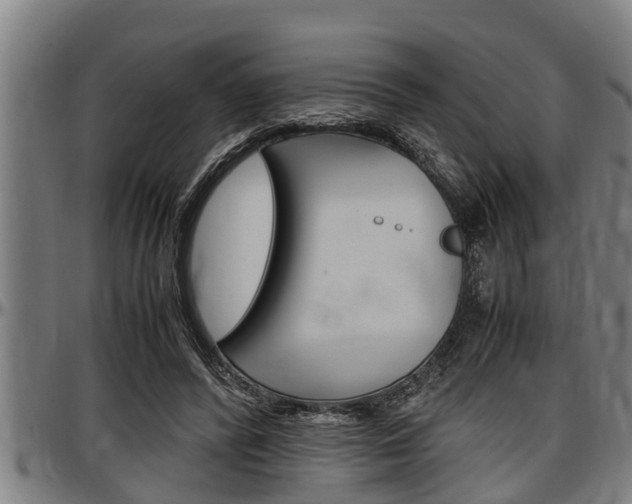 X0000097500400200802220847
