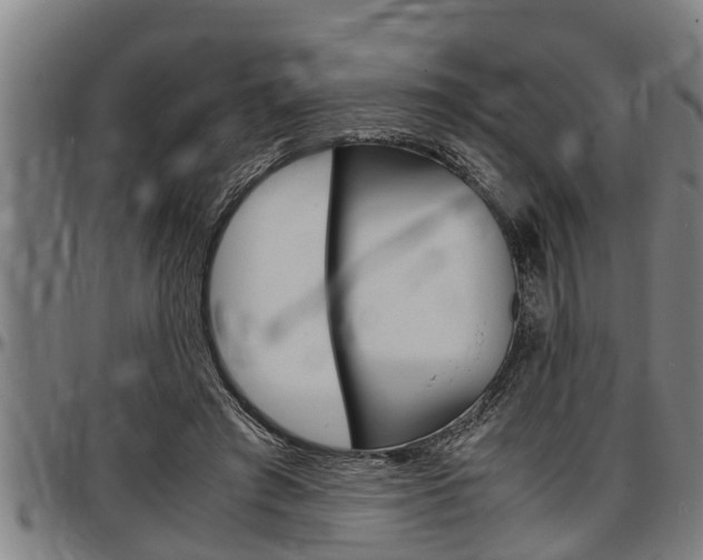 X0000097500401200802220847