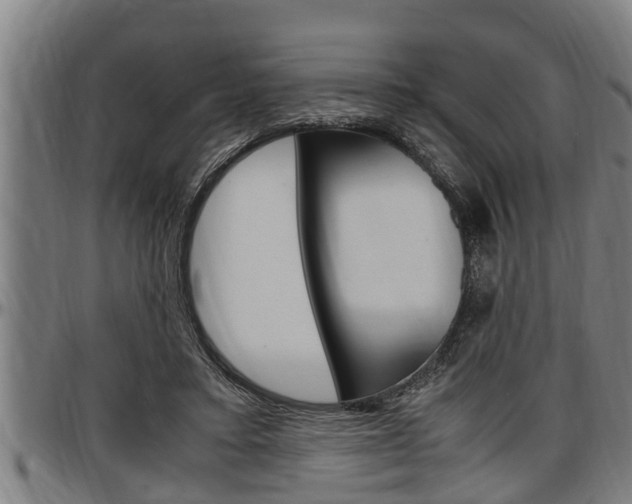 X0000097500403200802220847