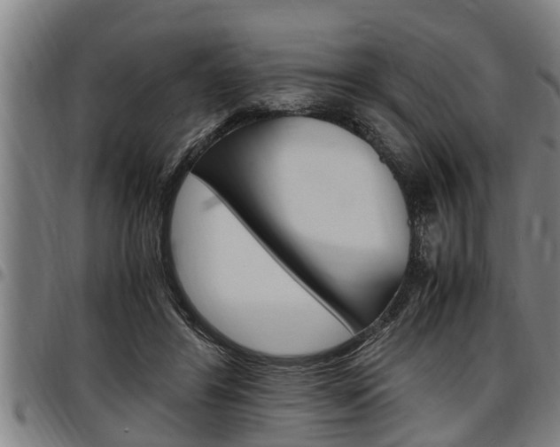 X0000097500404200802220847