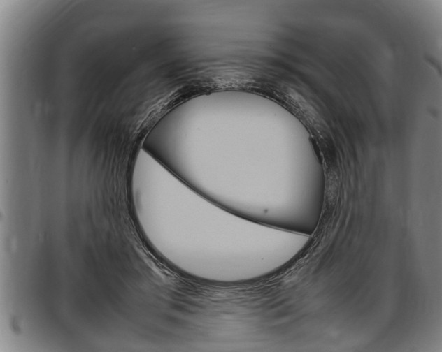 X0000097500405200802220847