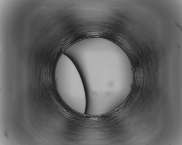 X0000097500406200802220847