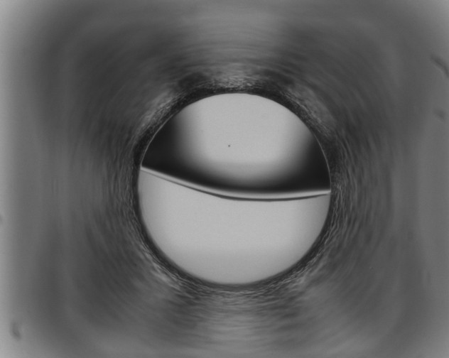 X0000097500407200802220847