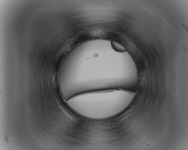 X0000097500408200802220847