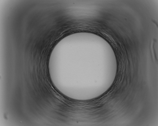 X0000097500409200802220847