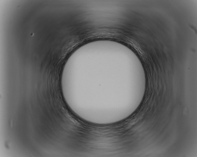 X0000097500411200802220847