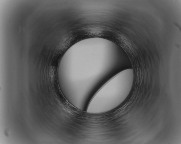X0000097500412200802220847
