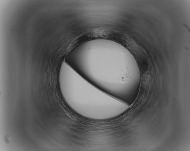 X0000097500413200802220847