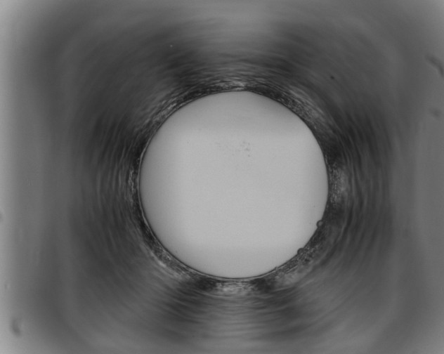 X0000097500414200802220846