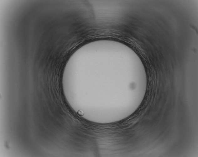 X0000097500415200802220846